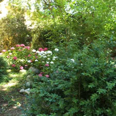 Bed and breakfast Ghia Parma