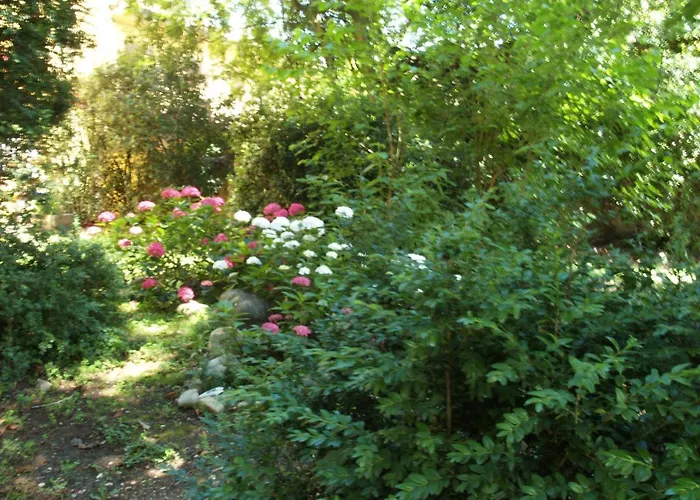 Bed & Breakfast Ghia Parma